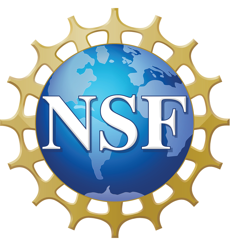 NSF logo